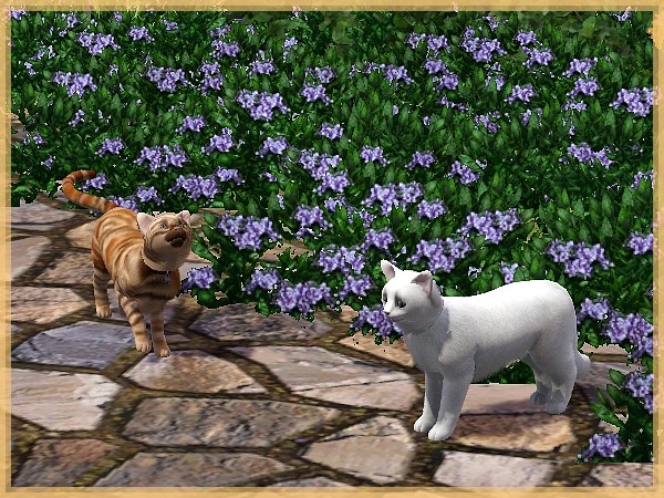 Henry und Hilde 